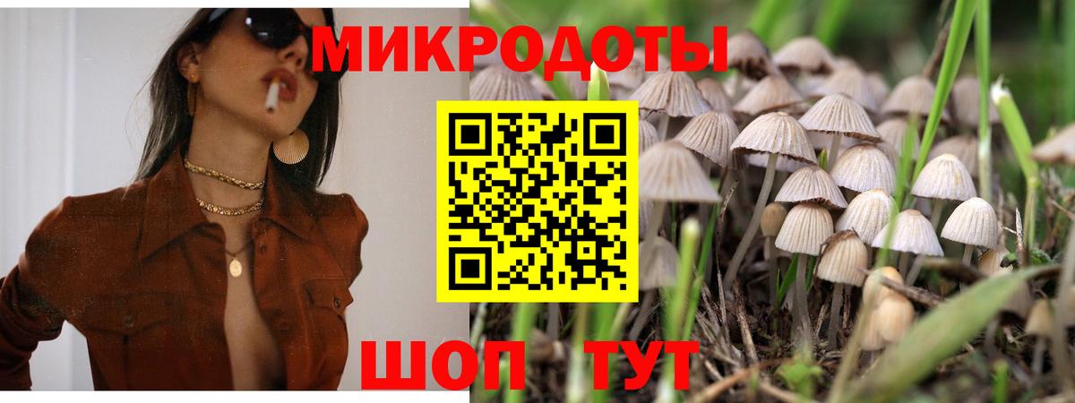 Галлюциногенные грибы Magic Shrooms  Вход с VPN  сколько стоит  Дмитров 